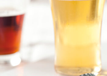 Our Top Beers for Spring