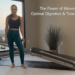 National Nutrition Month: Unlock the Power of Nutrition and Exercise