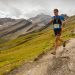 A New Study Reveals What Actually Happens to Your Body After a 100-Mile Race