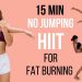 BEST 15 min Beginner Workout for Fat Burning (NO JUMPING HIIT!!!)