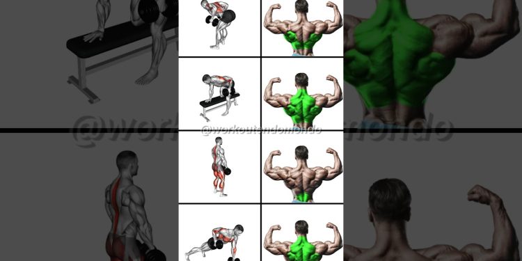 STRONGER Back with DUMBBELLS: Best Dumbbell Back Workout!