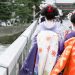 Try Japanese Walking – IronMag Bodybuilding & Fitness Blog