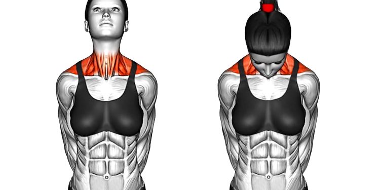 10 Min Morning Exercise Routine for Beginners At Home