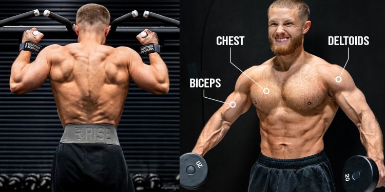 The Upper Body Workout I Followed For My 1 Year Transformation