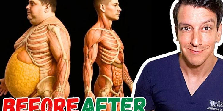 Best diet to CRUSH Visceral Fat