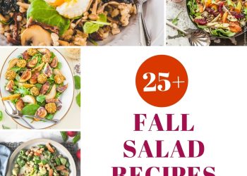 25+ Fall Salad Recipes – Oh My Veggies