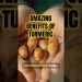 5 Amazing Benefits of Turmeric ☀️#turmericpower #blowup #nutrition #healthyfood  #inflammation