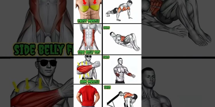 🔥 Full Body Workout at Home 💪  #Chest #Abs #Arms #Back #Workout #Fitness #fitfocus #sixpackabs