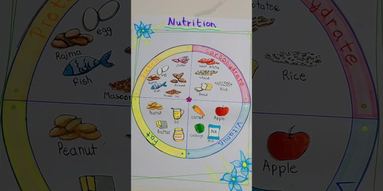 nutrition chart | science project| vitamins,fats, carbohydrates & proteins #diy #craft #project
