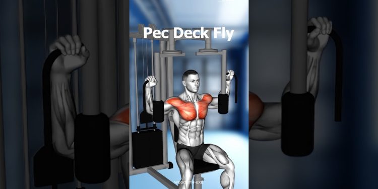 FULL BODY WORKOUT AT GYM – EFFECTIVE EXERCISES ( WE GO GYM )