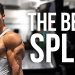 Best Split for Muscle Growth – Natural Bodybuilding