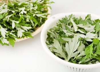 5 Unusual Health Benefits of Wormwood – IronMag Bodybuilding & Fitness Blog