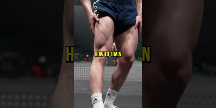 The Best Leg Exercises