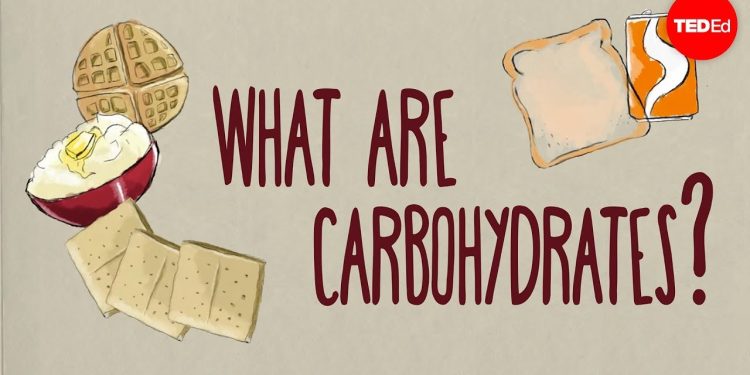 How do carbohydrates impact your health? – Richard J. Wood