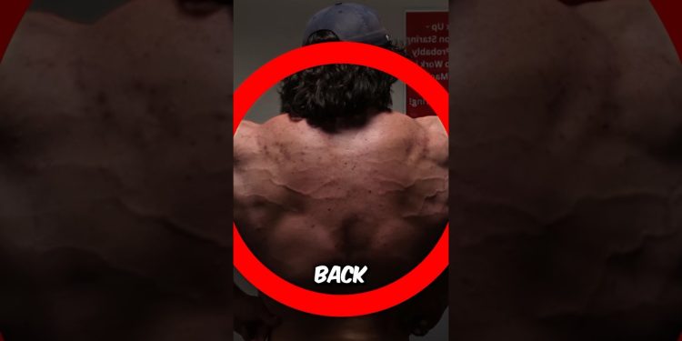 Sam Sulek Demon Back Update 🤯