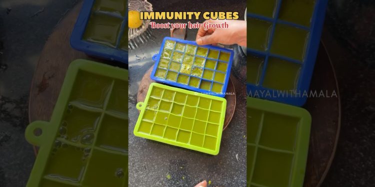 Immunity cubes | Amla freeze | healthy hair #samayalwithamala #immunitybooster #drink