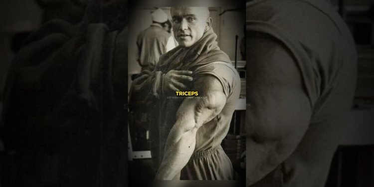 Lee Priest: The ONLY Exercise You Need To Grow Triceps 🥐
