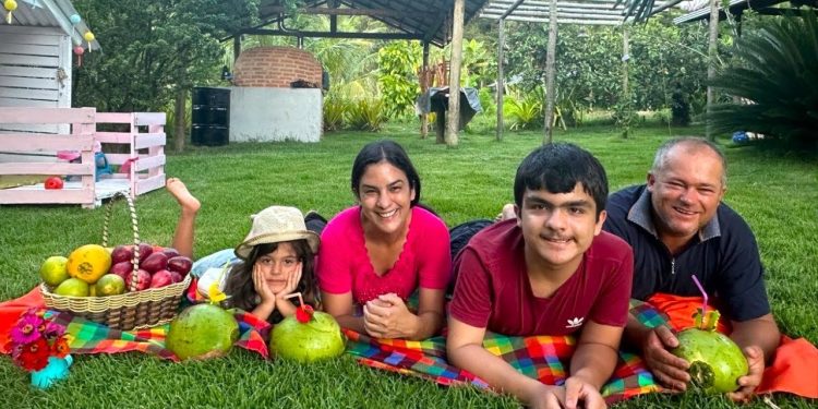 Singela colheita de frutas para fazer algo especial de férias para as crianças