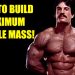 MIKE MENTZER: HOW TO BUILD MAXIMUM MUSCLE MASS #mikementzer  #gym  #motivation  #bodybuilding