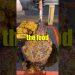 From Steak to White Bread: Foods Ranked by Nutrition. #shorts#steak#seniorhealth