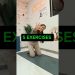 Best 5 Exercises to Reduce Fat Fast | Daily Fat Loss Workout at Home #weightloss #yoga