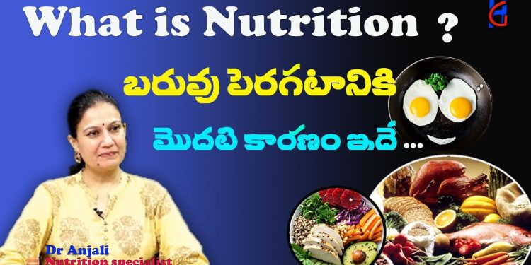 What is Nutrition | nutrition food in Telugu | What is healthy food | Which is healthy food | HTG