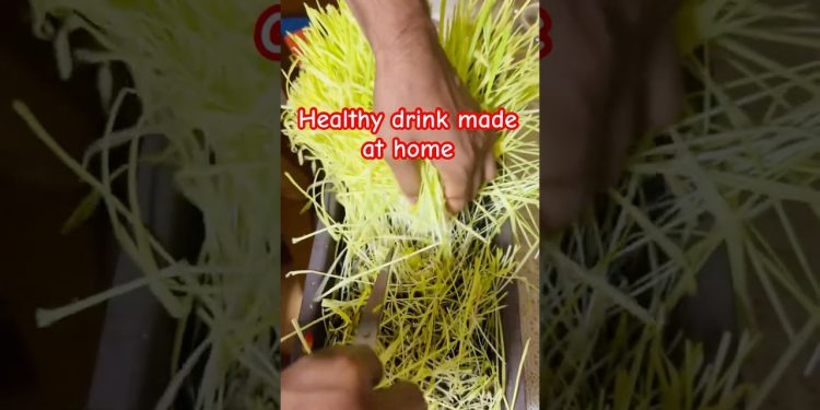 A very healthy drink made from Jamara at home. Have you ever tried this? #youtube #shortsfeed #fyp