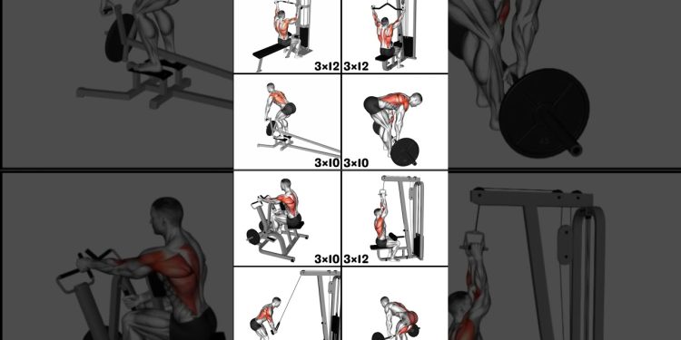 8 Powerful Back Workouts for Strength and Size #workout #backworkout