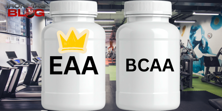 Is Supplementing with EAAs Replacing BCAAs as the King of Recovery? – IronMag Bodybuilding & Fitness Blog