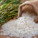 6 Types of Rice That Can Actually Improve Your Health – IronMag Bodybuilding & Fitness Blog