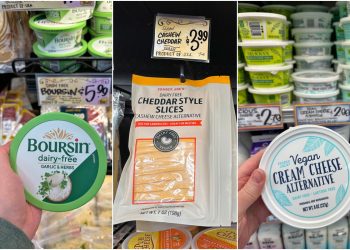 Trader Joe’s vegan cheese guide: All 5 options + how to use them