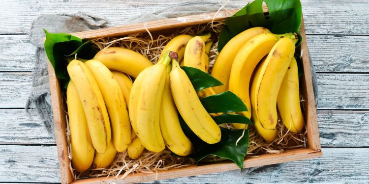 Bananas For Weight Loss And Weight Gain