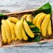 Bananas For Weight Loss And Weight Gain