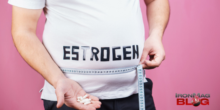 9 Top High Estrogen Foods You Should Know About – IronMag Bodybuilding & Fitness Blog