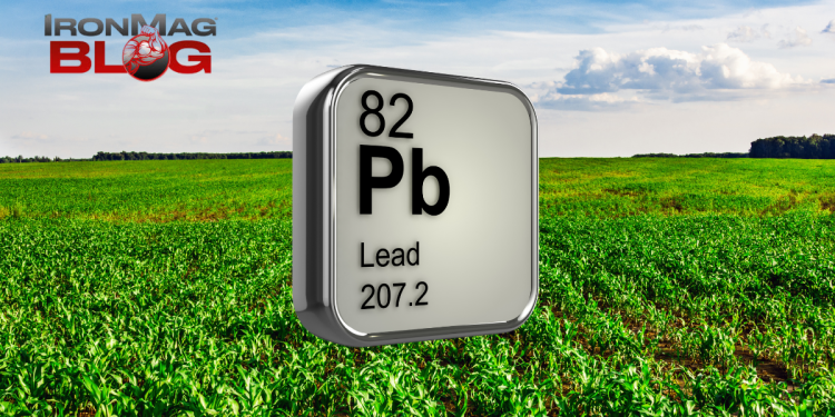 How Much Lead Is in Your Diet? – IronMag Bodybuilding & Fitness Blog