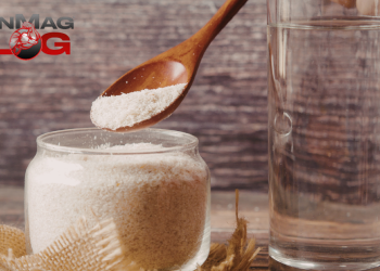 Can a Fiber Supplement Aid in Weight Management? – IronMag Bodybuilding & Fitness Blog