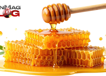 Should You Make the Swap to Manuka Honey? – IronMag Bodybuilding & Fitness Blog