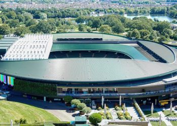 Why Wimbledon Season Turns Everyone Into A Tennis Fan